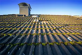 dachsanierung-dachdecker-nelho-bedachungstechnik1